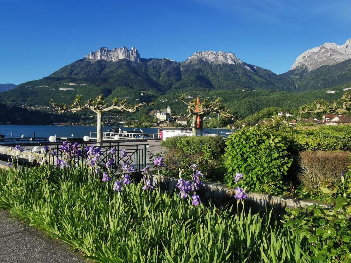 Lac Annecy Plage Privee, Duplex Baie Des Voiles Duingt Eksteriør billede